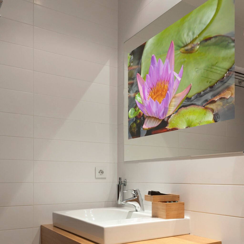 Bathroom TV