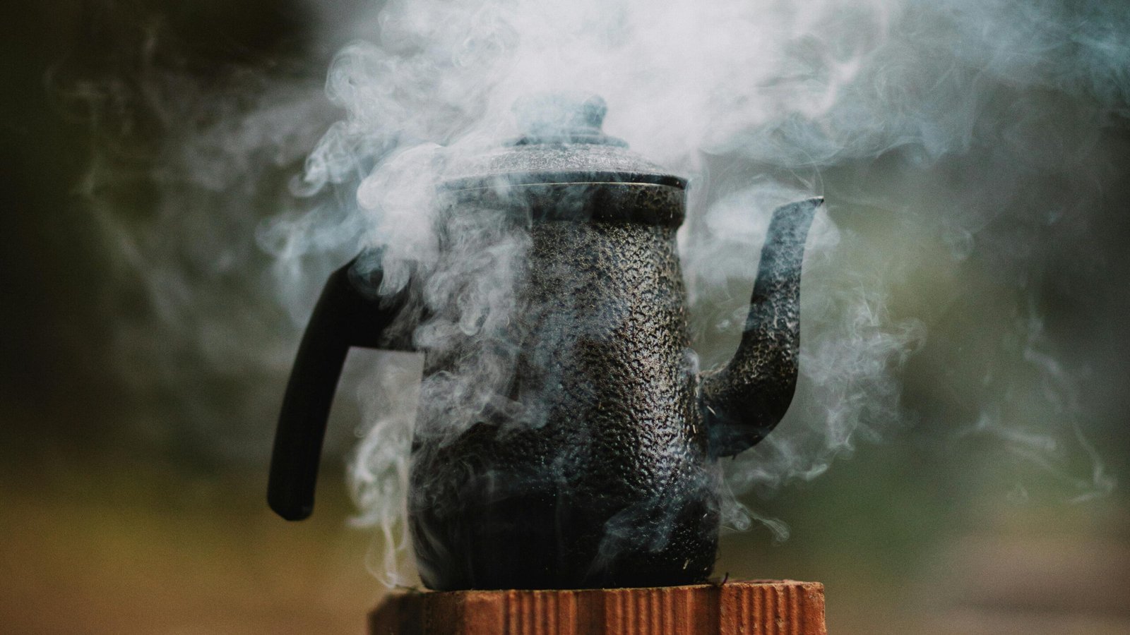 Parallel AV Televisions are certified steam resistant