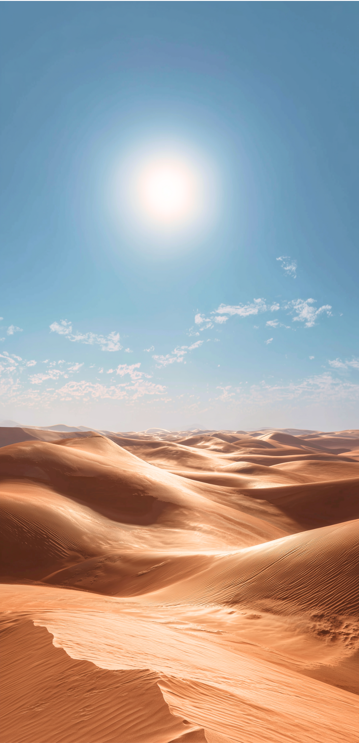 A hot desert landscape