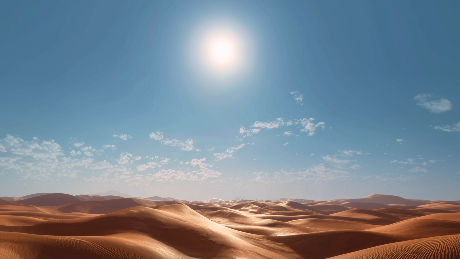 Parallel AV Sauna TVs are certified to beat the heat